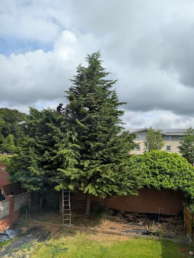 Treestyle Arboriculture, Tree Surgeon Manchester — Customer photo
