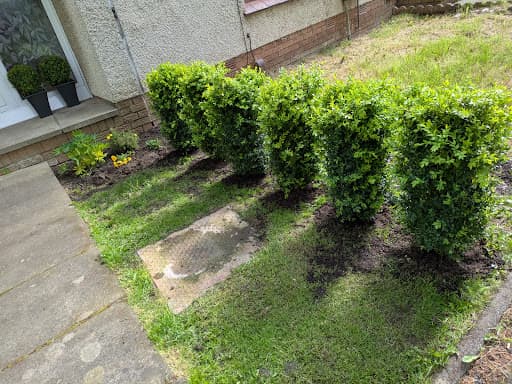 Edinburgh Gardening Services Ltd — Customer photo