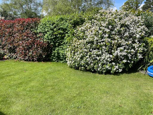 Exquisite Lawn Care — Customer photo