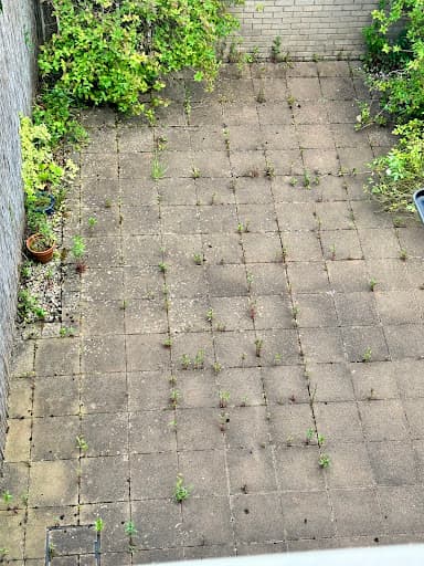 Stormont Garden Care — Customer photo