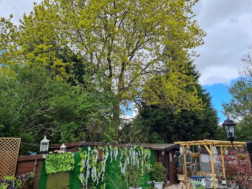 Boningale Tree Services — Customer photo
