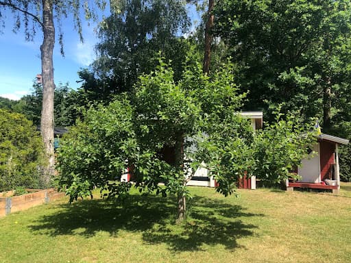 Birmingham Gardeners — Customer photo