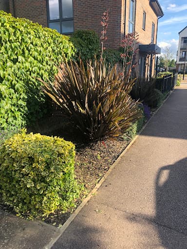 C&S Garden and Landscapes | Milton Keynes — Customer photo