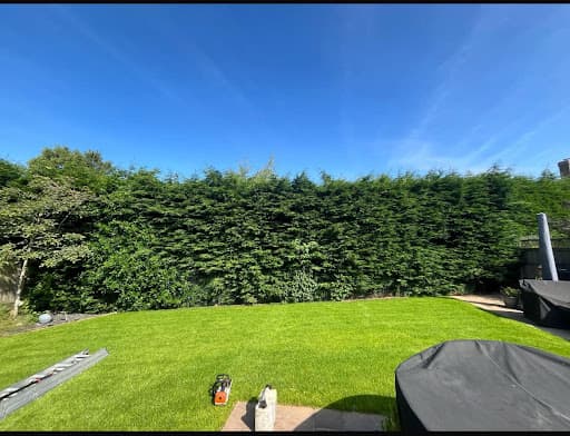 Elmwood Tree Services — Customer photo