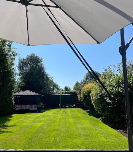 Ideal Lawn Care — Customer photo
