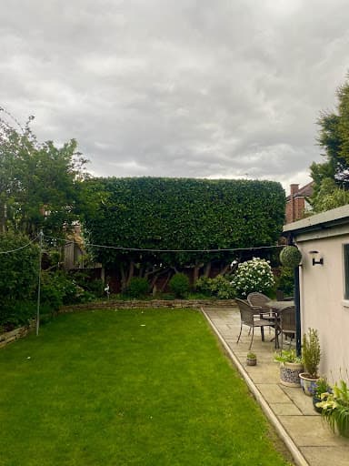Tree Cut - Tree Surgery Manchester — Customer photo