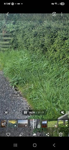 CG Mowing — Customer photo