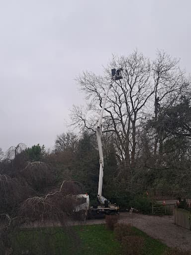 The Roots Company — Customer photo