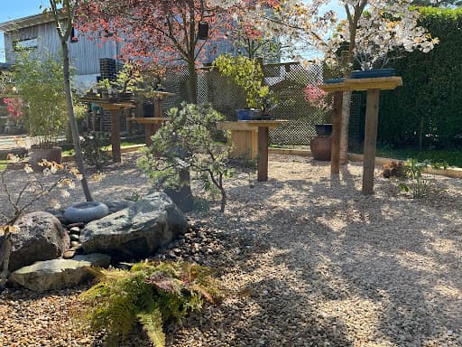 Creative Roots — Customer photo