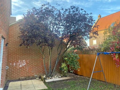 Lucas tree care Ltd — Customer photo