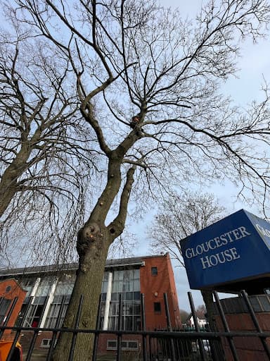 Hunton Tree Surgeons — Customer photo
