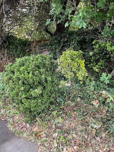 North Liverpool Garden Services — Customer photo