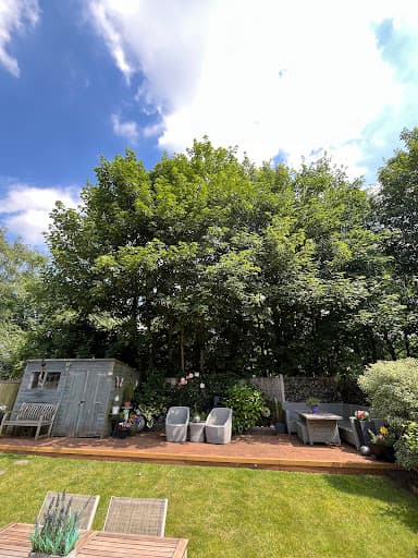 Scott Davies Tree Surgery — Customer photo