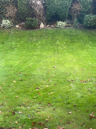 Ideal Lawn Care — Customer photo