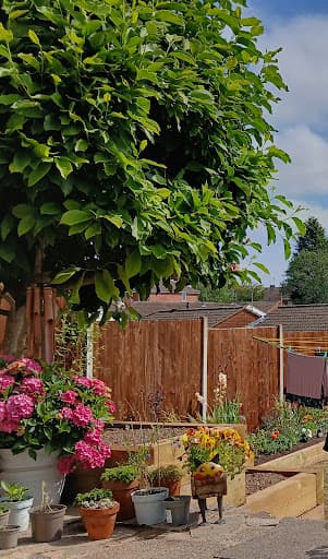 D & M Garden Service's — Customer photo