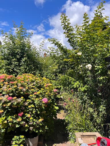 Paul & Son Gardening — Customer photo
