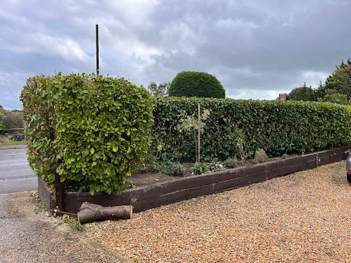 Stubbington Tree Care — Customer photo