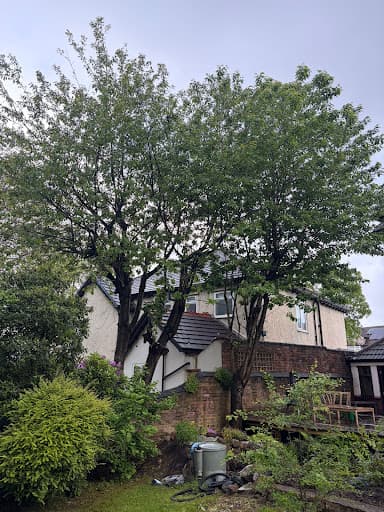 The Tree Felling Group — Customer photo