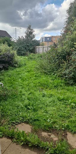 Sykes Tree & Garden Services | Gardener | Tree surgery | Hedge cutting | Ground maintenance — Customer photo
