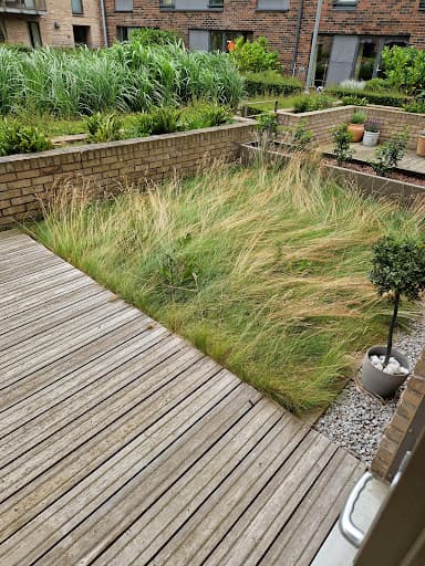 Cut Above Leith — Customer photo