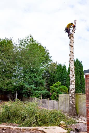 Coventry Tree Surgeons — Customer photo