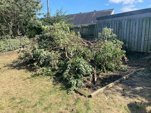 Alba Tree Surgeons — Customer photo
