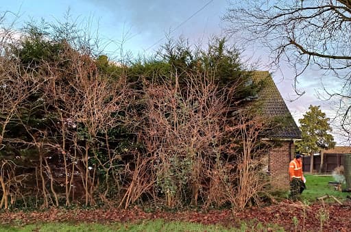 Elite Tree Services (EA) Ltd — Customer photo
