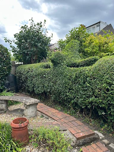 Lewis Lawncare — Customer photo