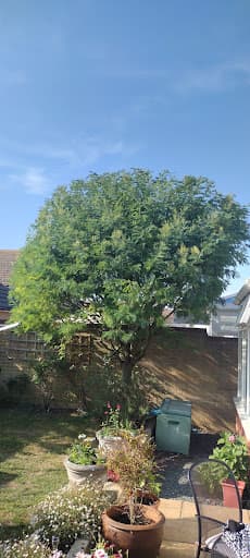 Angus Tree Services Ltd — Customer photo