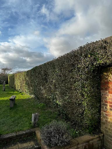 First Choice Tree Surgeons — Customer photo