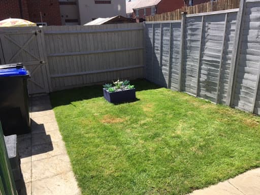 All Green Lawn Treatments — Customer photo