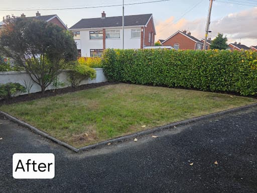 Root & Branch Tree and Garden Services — Customer photo