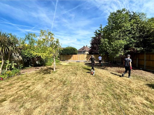First Choice Tree Surgeons — Customer photo