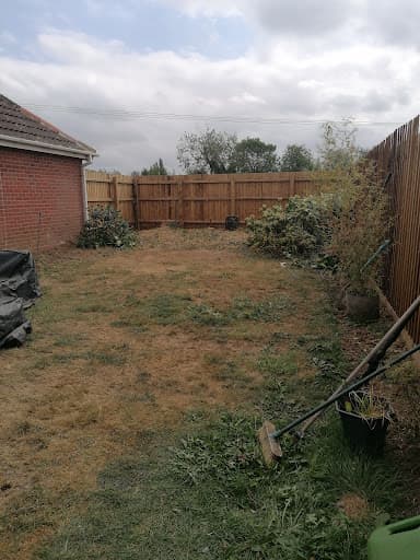Elmwood Tree Services — Customer photo