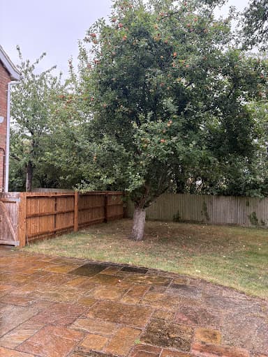 Elmwood Tree Services — Customer photo