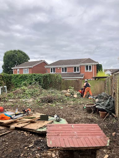 Darcy Ltd - Tree Surgery & Arboriculture — Customer photo
