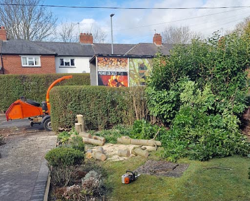 Leeds Tree Services — Customer photo