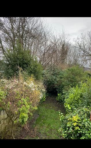 Forever-tree’s Manchester tree surgeon and landscaping — Customer photo