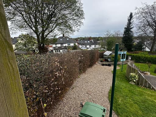 SD Tree Care — Customer photo