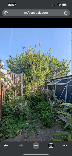 Stoke Gardening Services — Customer photo