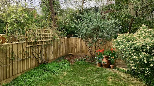 OLIVE GREEN LANDSCAPING — Customer photo