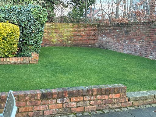 The Lawn Business — Customer photo