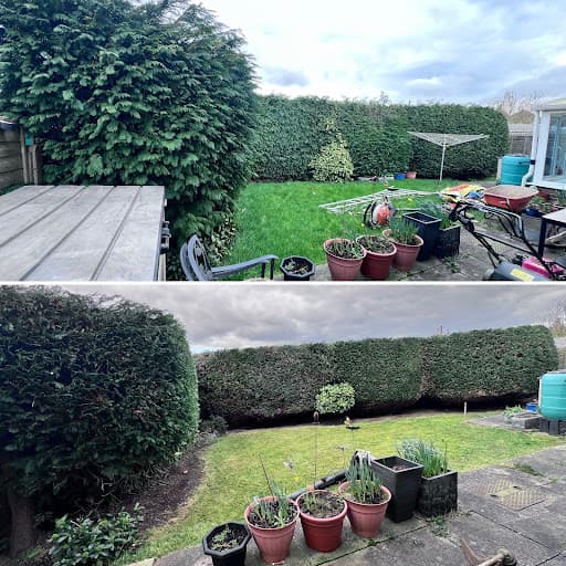 Wilding Gardening Services — Customer photo
