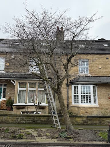 Stara Tree Contractors — Customer photo