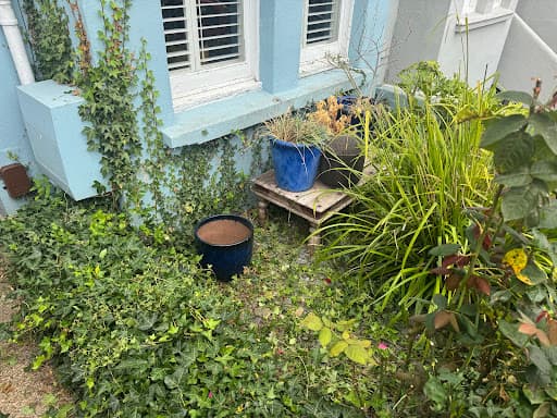 The Good Gardener — Customer photo
