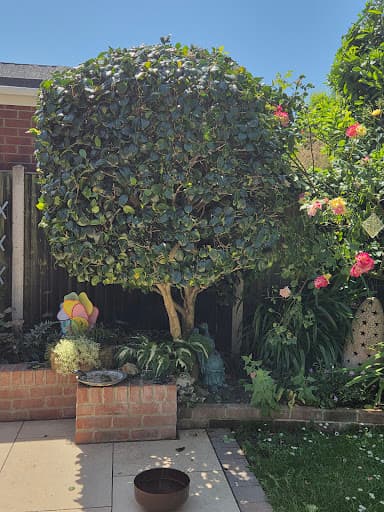 Williams Garden Services Ltd — Customer photo