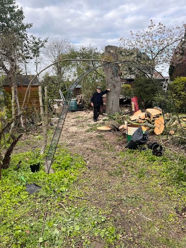 Acorn Trees — Customer photo
