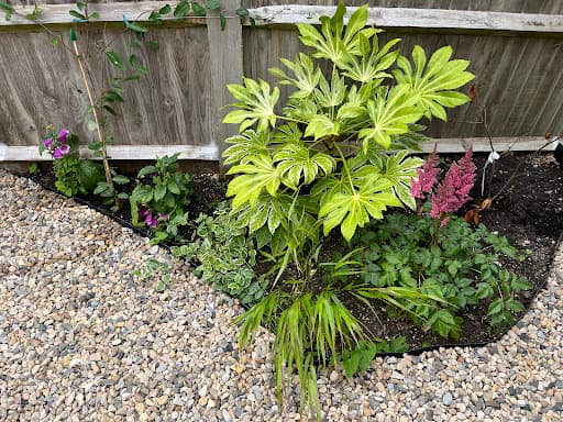 Green Goose Gardens — Customer photo