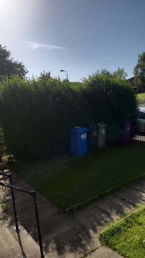 Garden Man - Gardening Services — Customer photo
