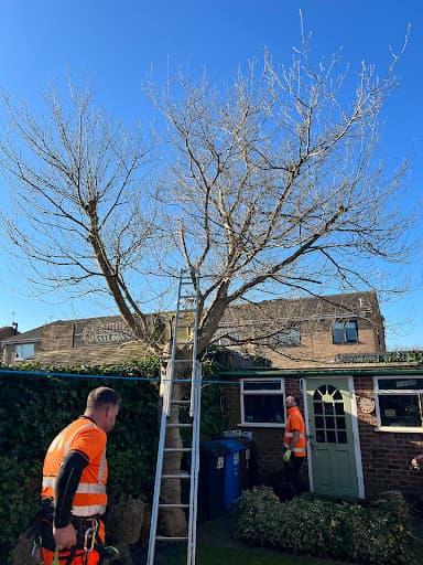 ACCESS TREE CARE — Customer photo